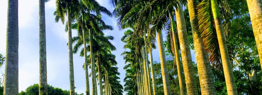 Frissons de la nature