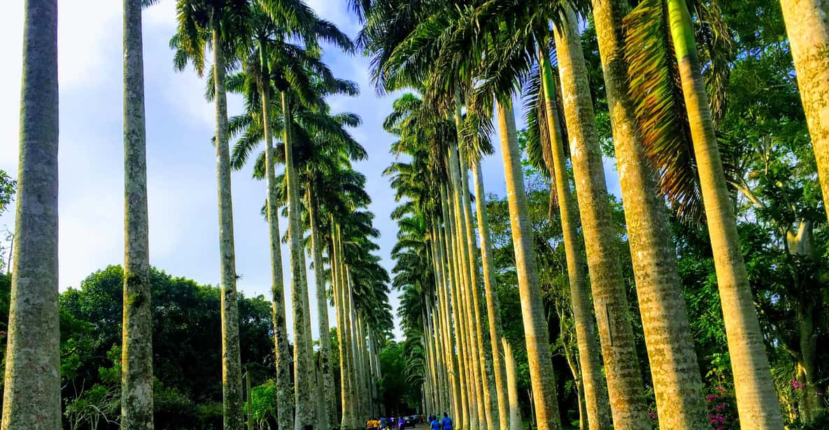 Nature Thrills | GetYourGuide