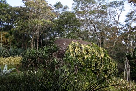 Rio de Janeiro: Sitio Roberto Burle Marx Guidad tur