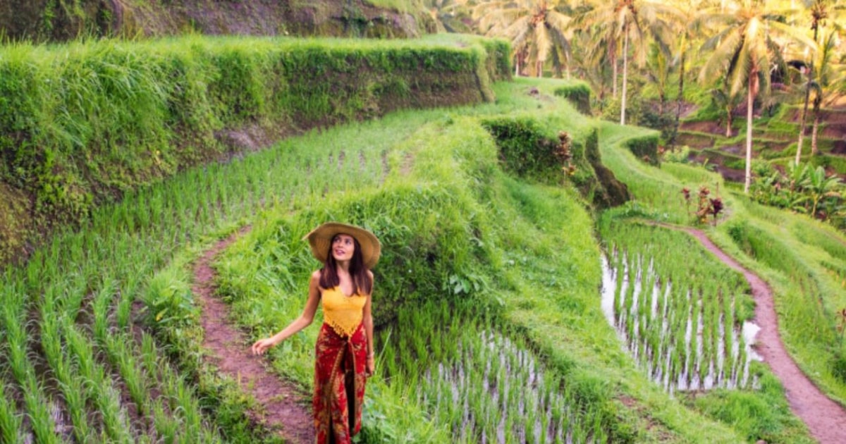 Tur Guide Bali Özel Tur: Ubud Bali'nin En İyileri | GetYourGuide
