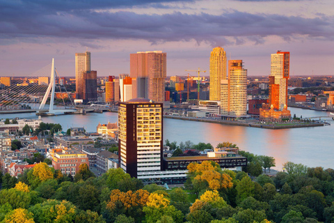 Het beste van Rotterdam: Privéwandeling met een localPrivé Stadswandeling - 2Ur