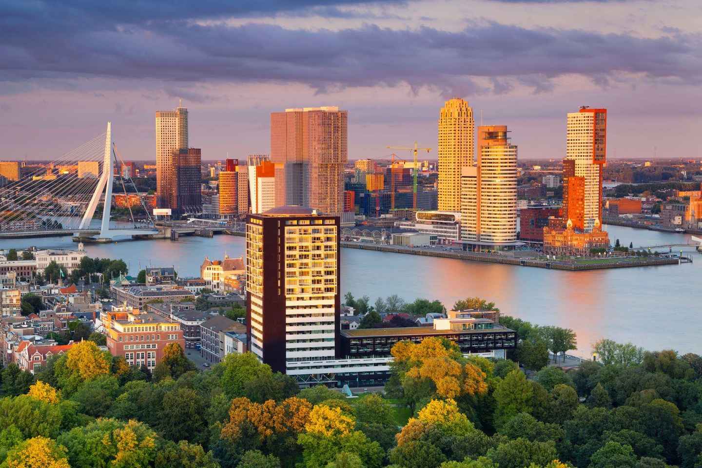 Rotterdam Walking Tour with a Local - 2-Hour Private Walking Tour
