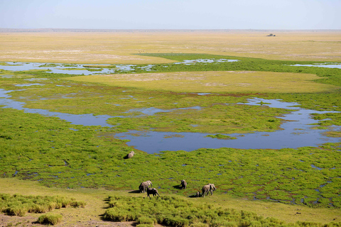 From Nairobi: 4-Day Safari to Amboseli Tsavo West & East