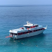 Bagnara, tour in barca a Costa Viola + Swimming - Housity