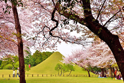 Vanuit Fukuoka: Dagtrip naar Kumamoto Castle, Mt.Aso &amp; Kurokawa