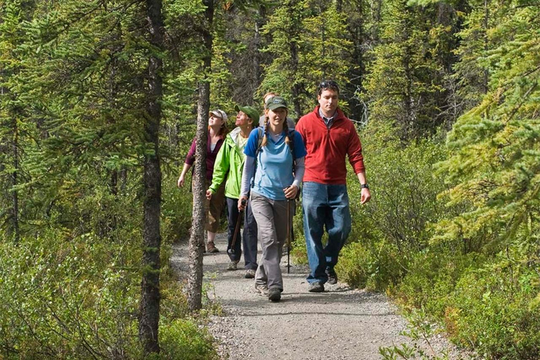 Denali National Park: Triple Lakes Trail Guided Hike