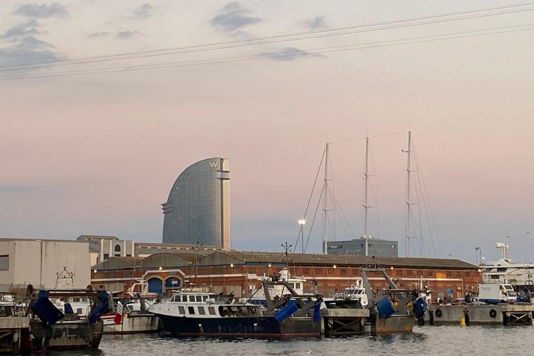 Full/Half day Barcelona highlights with entrances & Tasting Full Day with Transport,Tasting&Entrances (Maximum 9 people)