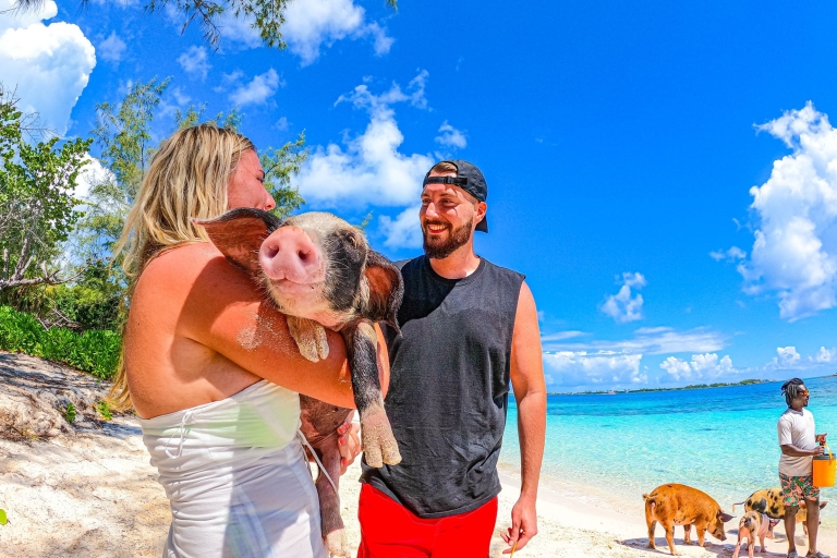 Nassau: boottocht Sun Cay en zwemmende varkens met lunch