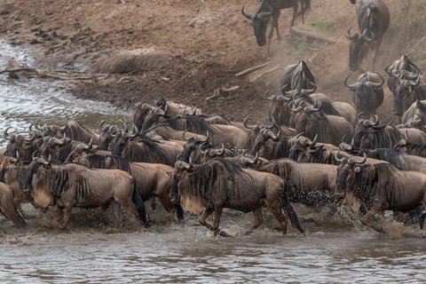 Viaggio di un giorno da Nairobi a Maasai Mara - AWNairobi: Escursione di un giorno nella Riserva Nazionale di Maasai Mara - Privato
