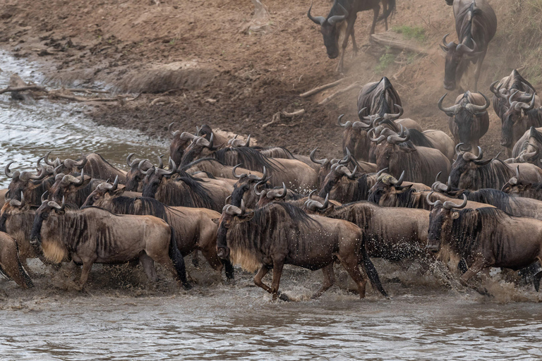 Viaggio di un giorno da Nairobi a Maasai Mara - AWNairobi: Escursione di un giorno nella Riserva Nazionale di Maasai Mara - Privato