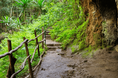 Nairobi: Trilho natural e caminhada na floresta de Karura