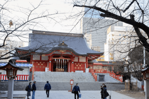 Shinjuku Walking Tour with Local Guide