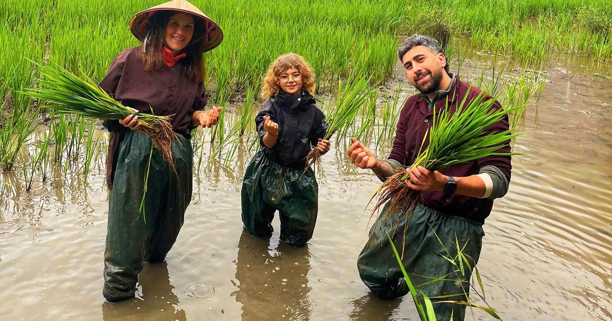Ninh Binh: Vietnamese Rice Culture & Farming Experience