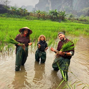 Ninh Binh: Vietnamese Rice Culture & Farming Experience Ninh Binh: Vietnamese Rice Culture & Farming Experience