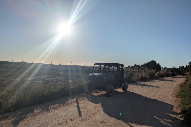 Guided buggy Passenger tour Alvor Ria wetlands