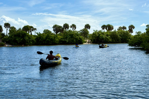 Fort Lauderdale: Kayak & Paddleboard Mangroves Eco Adventure