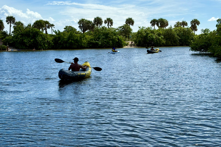Fort Lauderdale: Kayak & Paddleboard Mangroves Eco Adventure