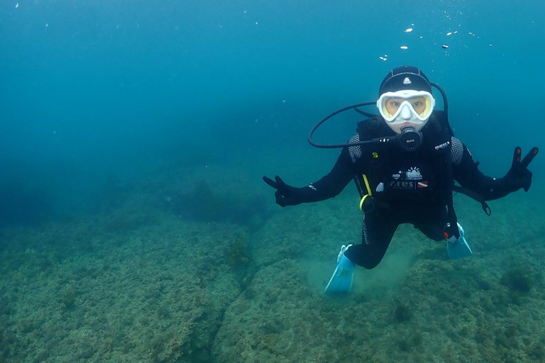 Jeju : expérience de plongée sous-marine près de Seongsan Ilchulbong