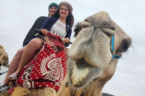 从阿加迪尔出发：苏斯河骆驼骑行