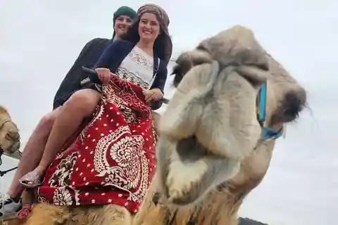 From Agadir: Camel Ride and Flamingo Trek