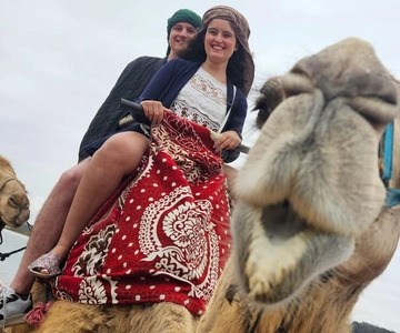 From Agadir: Camel Ride and Flamingo Trek