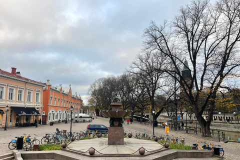 Turku prywatnym samochodem z Helsinek: Katedra i Zamek