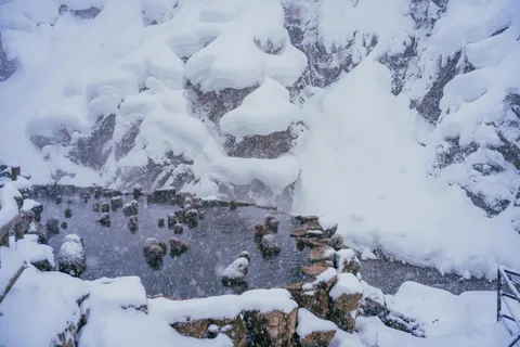 Tour di 2 giorni alle scimmie delle nevi: da Nagano a Takayama via Matsumoto