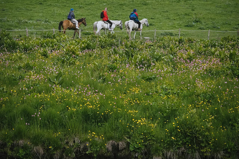 Dublin Mountains: Scenic Guided Horseback Ride 2-hr Dublin Mountains: Scenic Guided Horseback Ride