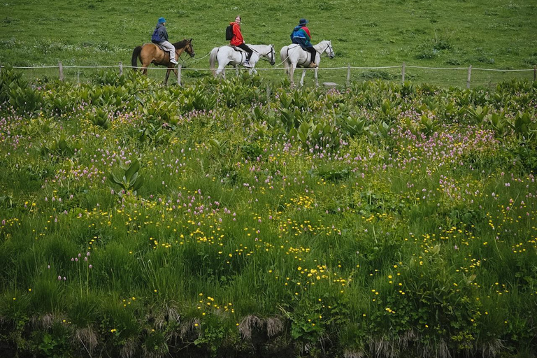 Dublin Mountains: Scenic Guided Horseback Ride 2-hr Dublin Mountains: Scenic Guided Horseback Ride