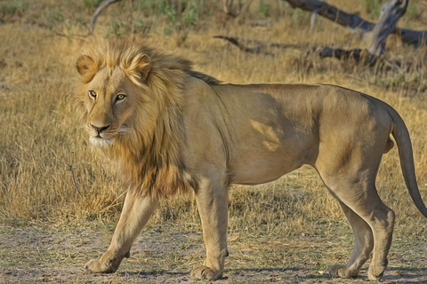 MIKUMI NATIONALPARK TAGESTOUR AB SANSIBAR