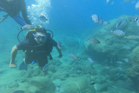 Alanya: Cleopatra Beach Sunset Scuba Diving Experience