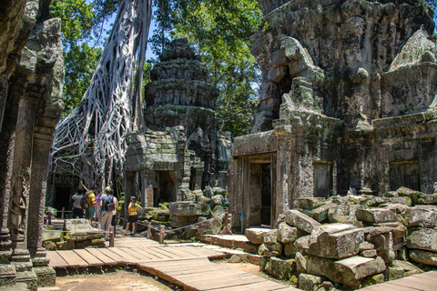 Visite guidée privée d&#039;Angkor Wat au lever du soleil - Petit-déjeuner inclus