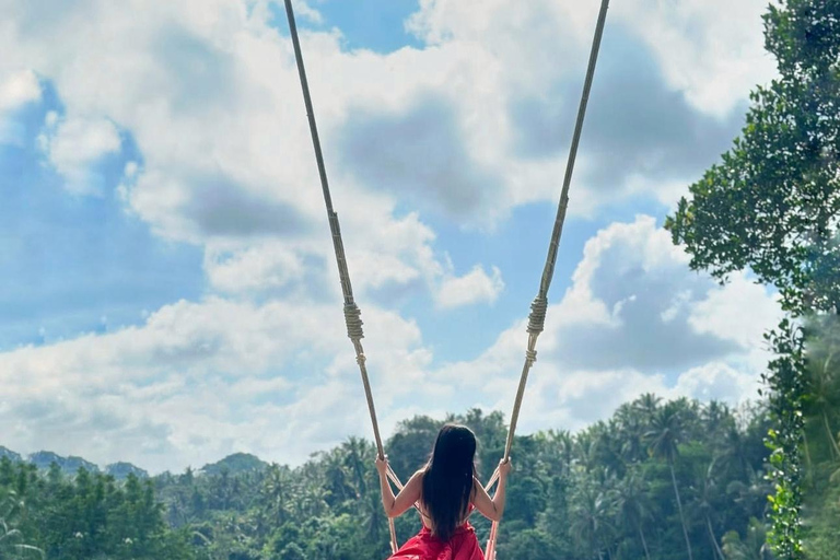 Bali: Monkey Forest, Waterfall, Swing & Beratan Lake Temple Private Tour Without Entrance Tickets