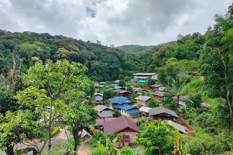 Chiang Mai: Mae Ya Waterfall & Pha Dok Siew Trail Trek Small Group Tour With Meeting Point Pickup