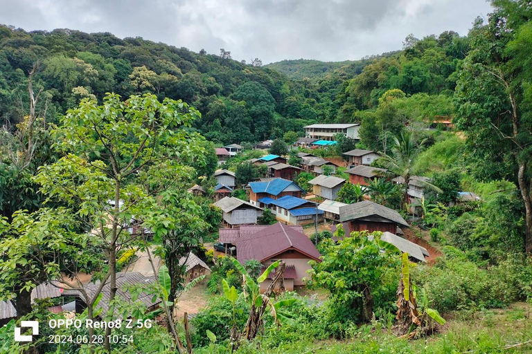 Chiang Mai: Cachoeira Mae Ya e trilha Pha Dok SiewTour particular com serviço de busca no hotel