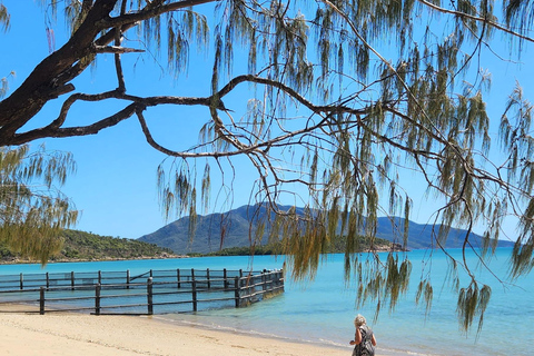 Ontsnappen aan de kust - Dingo Beach &amp; Cape Goucester