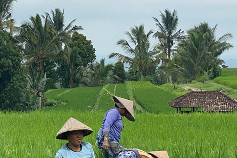 Bali: vida rural em Bongkasa e ritual de purificação em Taman Beji