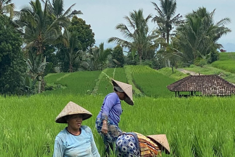 Bali: vida rural em Bongkasa e ritual de purificação em Taman Beji