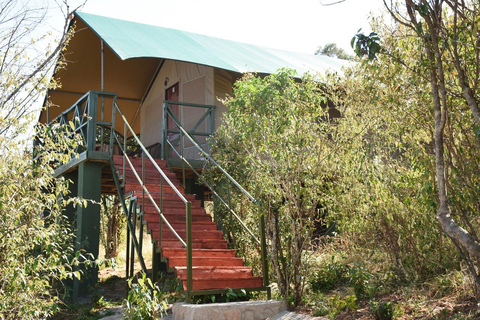 6-dniowe safari fotograficzne Masai Mara w jeepie 4x4