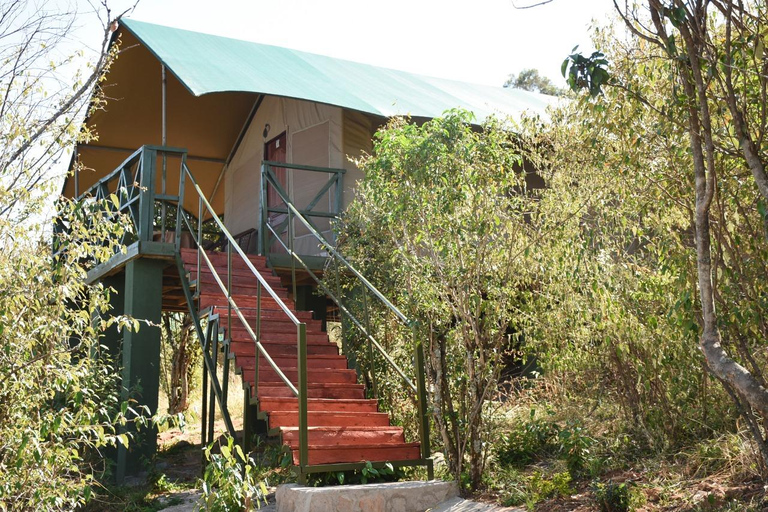 6-dniowe safari fotograficzne Masai Mara w jeepie 4x4