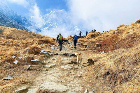 Pokhara: 4-Day Mardi Himal Base Camp Trek