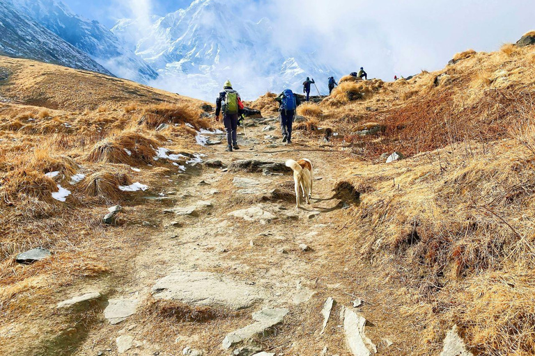 Pokhara: 4-Day Mardi Himal Base Camp Trek