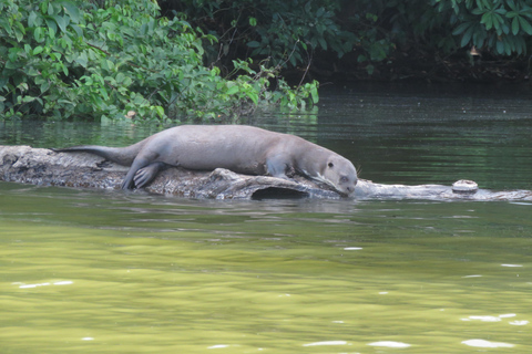 Puerto Maldonado: Tambopata Expeditions 4 Days (expeditions) Puerto Maldonado: Tambopata Expeditions 4 days (expeditions)