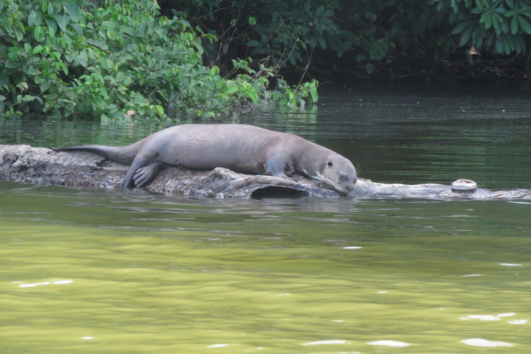 Puerto Maldonado: Tambopata Expeditions 4 Days (expeditions) Puerto Maldonado: Tambopata Expeditions 4 days (expeditions)