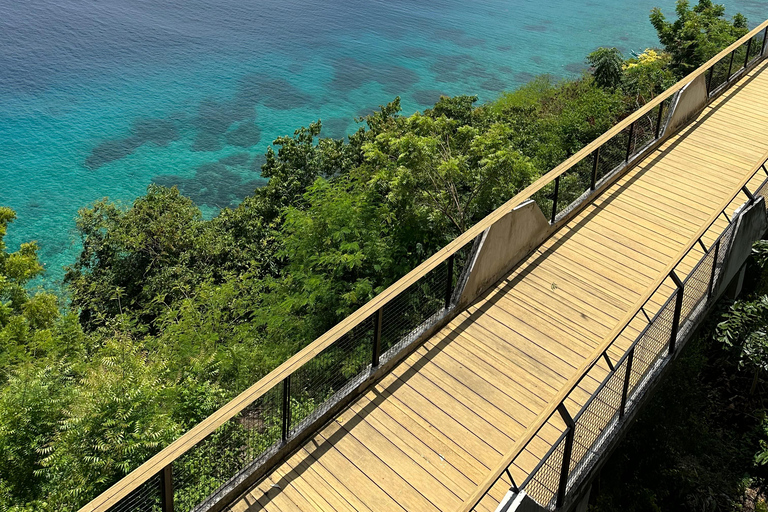 Cebu : visite privée du requin-baleine et de la cascade mystérieusePlongée avec masque et tuba avec le requin-baleine et visite des chutes d'eau mystérieuses