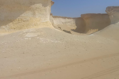 Doha: West Coast Qatar Tour, Sculptures, Camel Racing track From Doha Premium West Qatar Tour