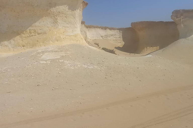 Doha: West Coast Qatar Tour, Sculptures, Camel Racing track From Doha Premium West Qatar Tour