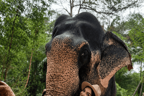 Sigiriya → Anywhere: Private Car Journey with Flexible Stops Private Van with Driver – Up to 100 km (Island-wide)
