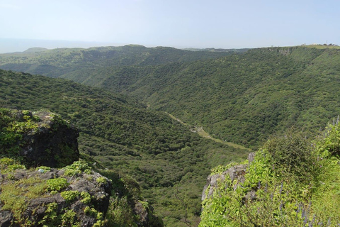 Salalah: Al Fazayah Beach, Shaat Viewpoint & Mugsail Tour