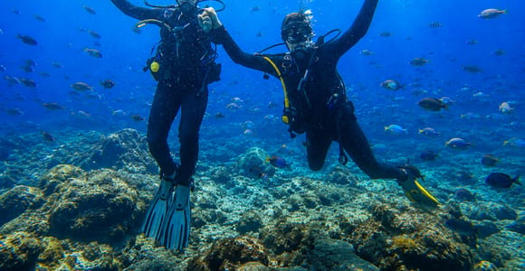 Tenerife: Discover Scuba Diving with Free Photos